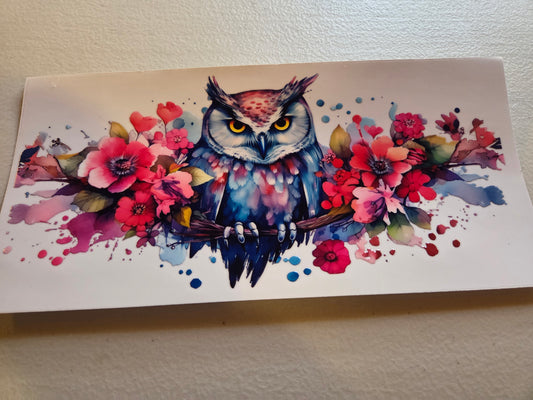 Owl